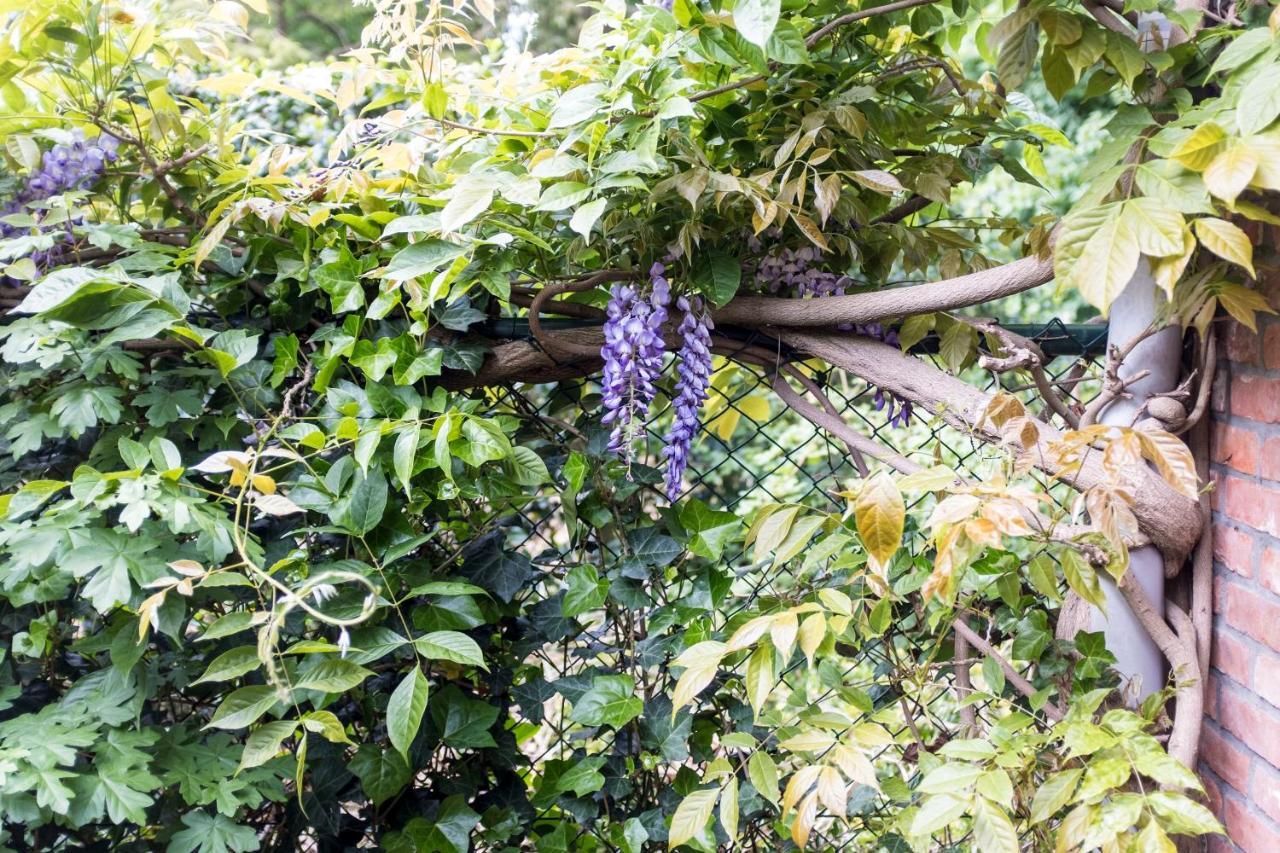 Cottage Markdal ブレッダ エクステリア 写真
